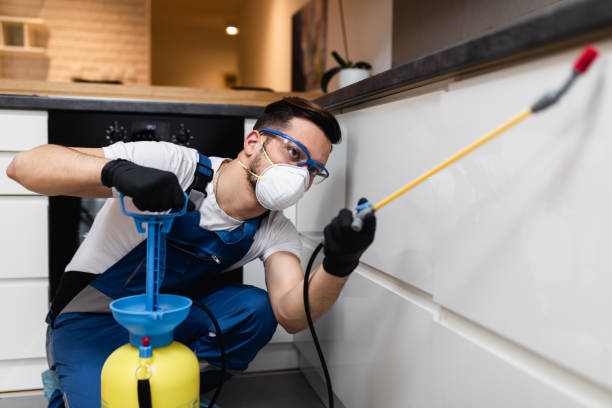Trusted Mascoutah, IL Pest Control Experts