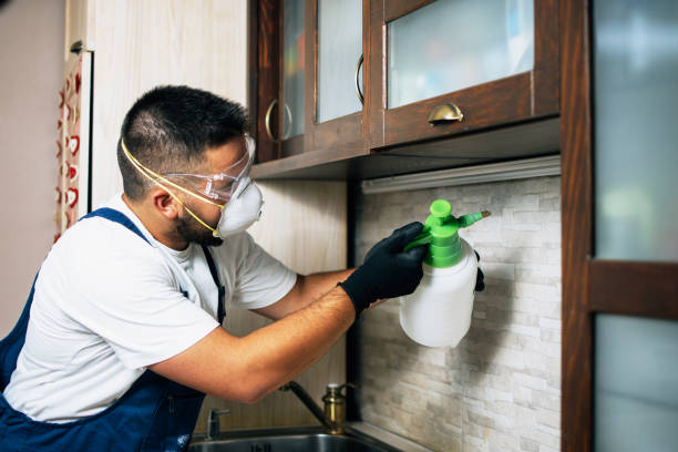 Best Wildlife Control Services  in Mascoutah, IL