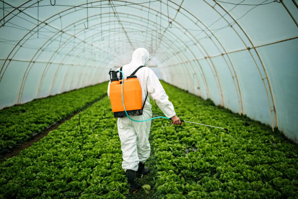 Best Pest Removal Services  in Mascoutah, IL
