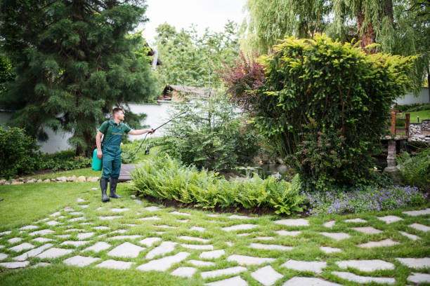 Best Bird Control  in Mascoutah, IL