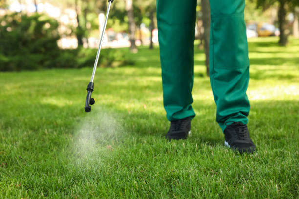Pest Prevention Services in Mascoutah, IL
