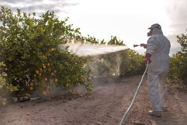 Best Cockroach Control Services  in Mascoutah, IL