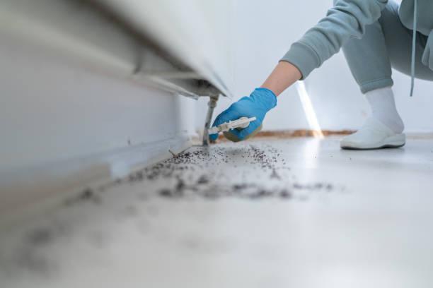 Best Best Pest Control Companies  in Mascoutah, IL